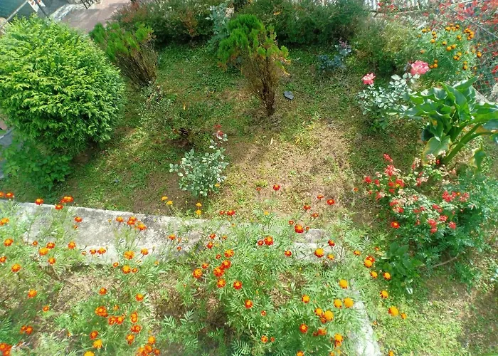 Pinewood Homestay Dali