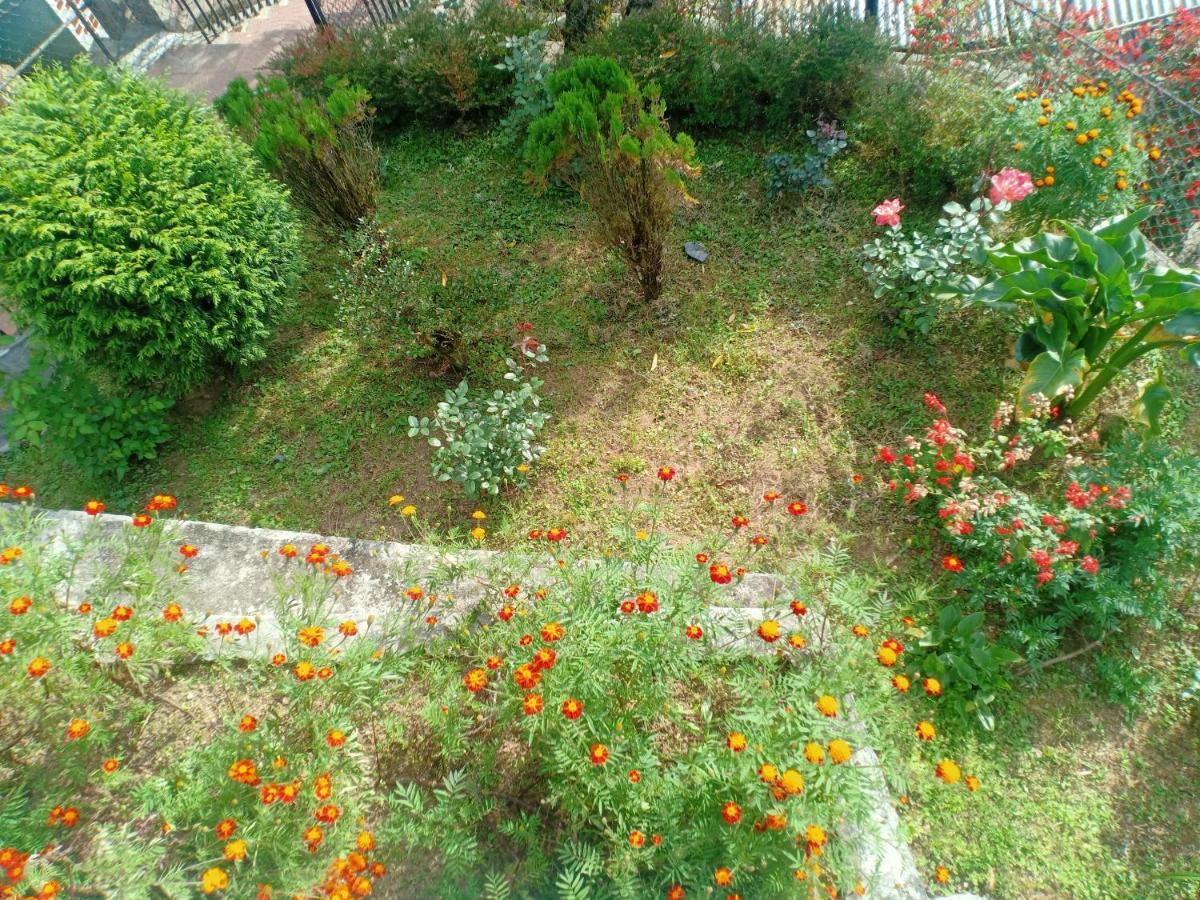 Pinewood Dali Homestay Darjeeling (West Bengal)