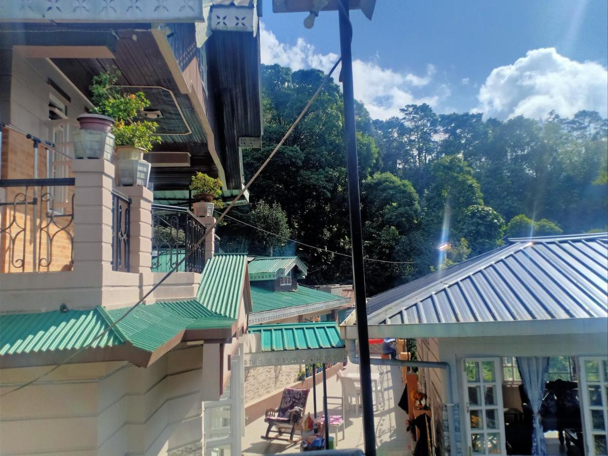 Homestay Pinewood Dali