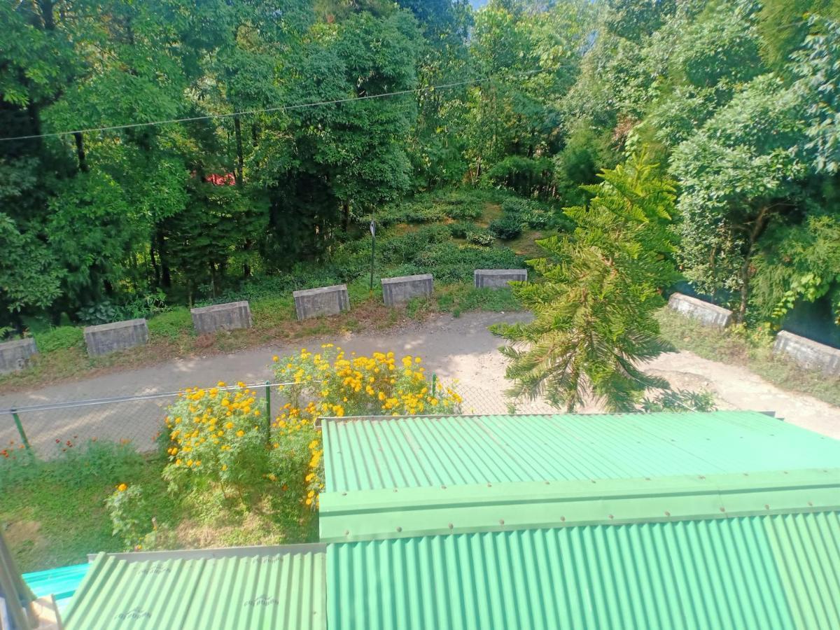 Homestay Pinewood Dali Darjeeling (West Bengal)