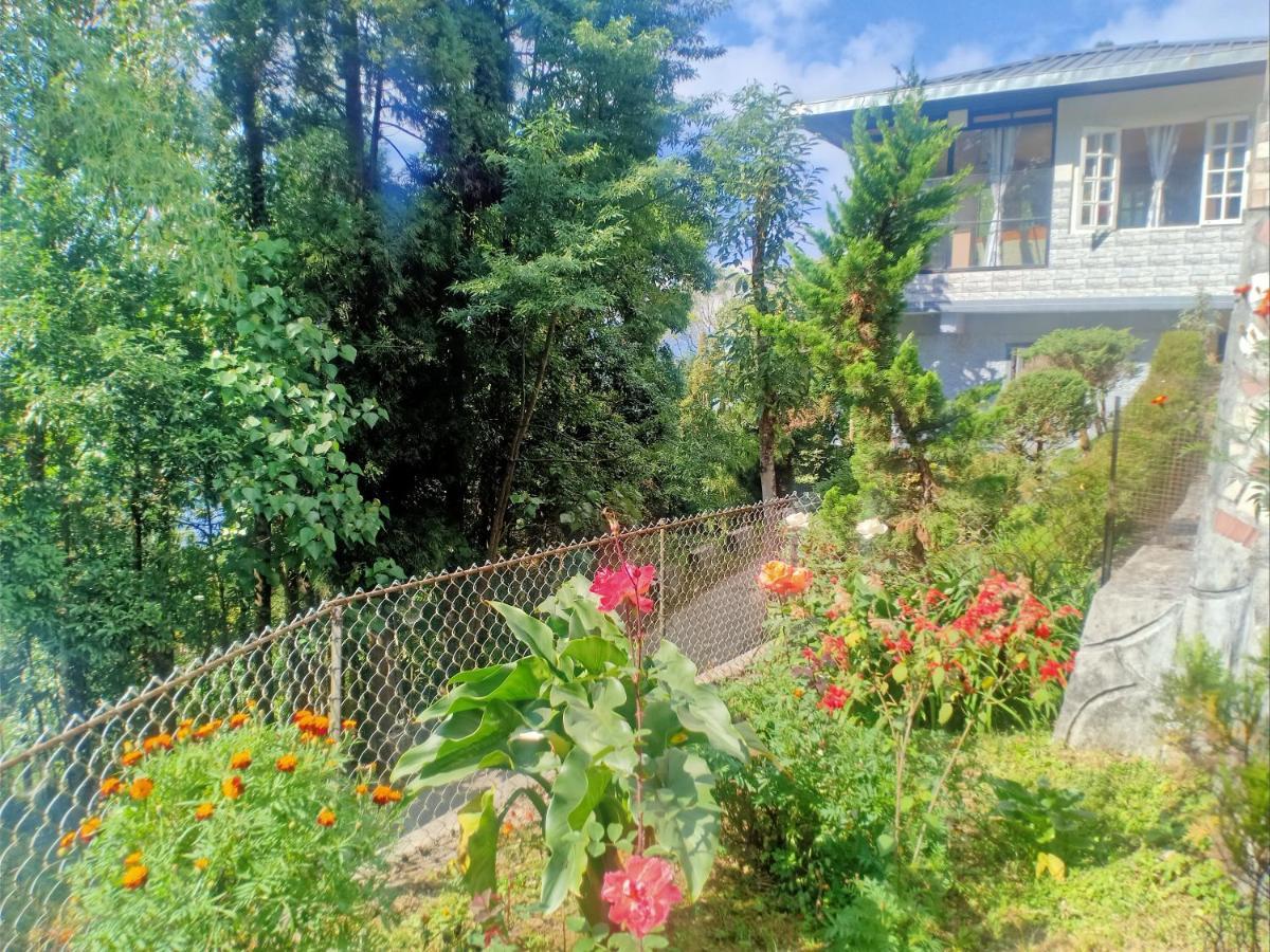 Homestay Pinewood Dali *