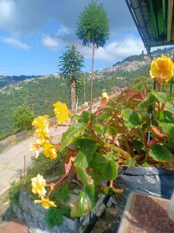 Pinewood Dali * Darjeeling (West Bengal)