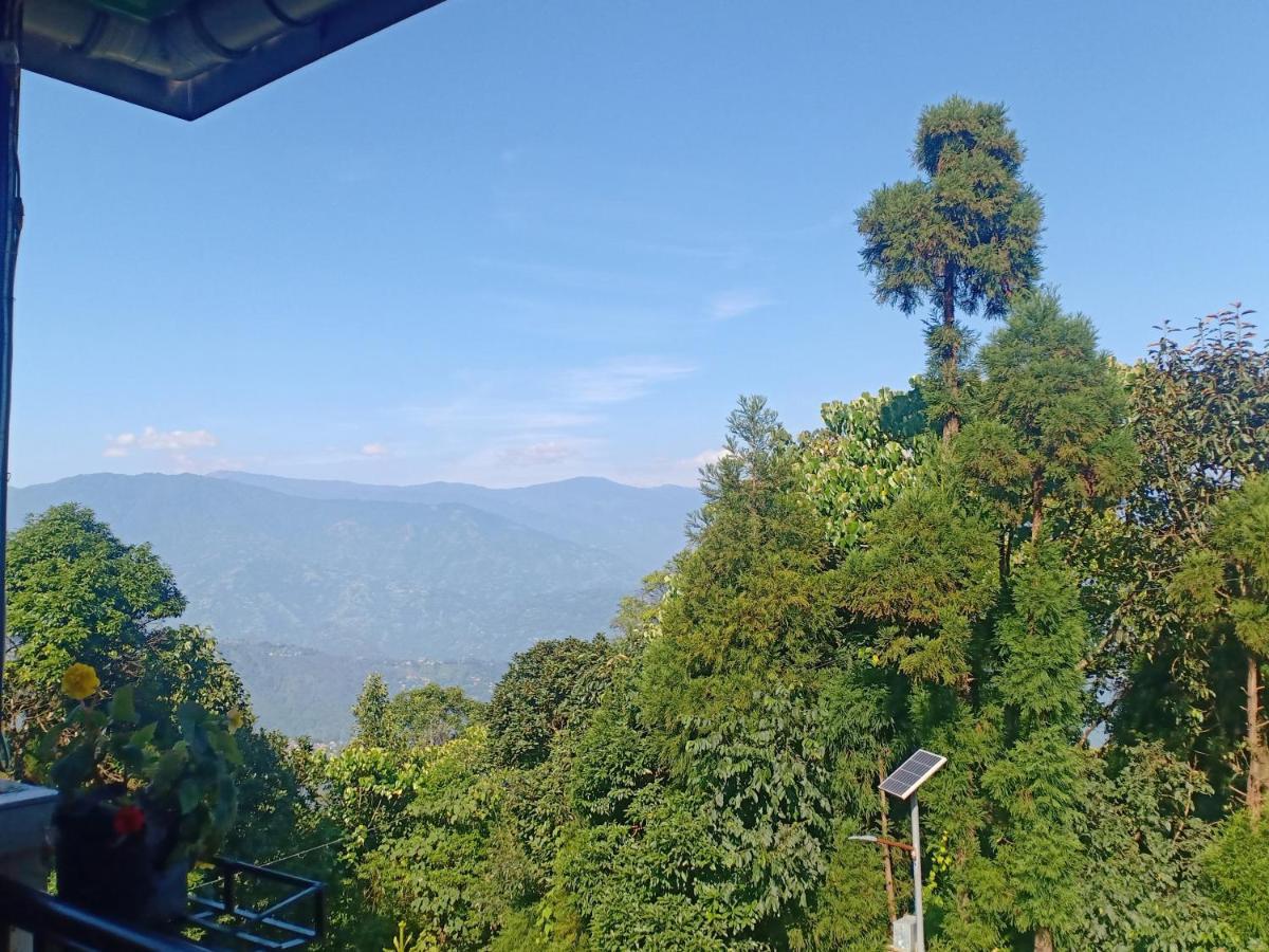 Pinewood Dali * Darjeeling (West Bengal)