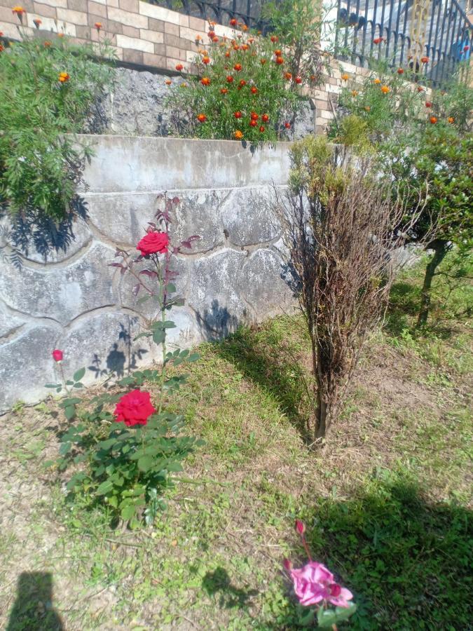 Pinewood Dali Homestay Darjeeling (West Bengal)